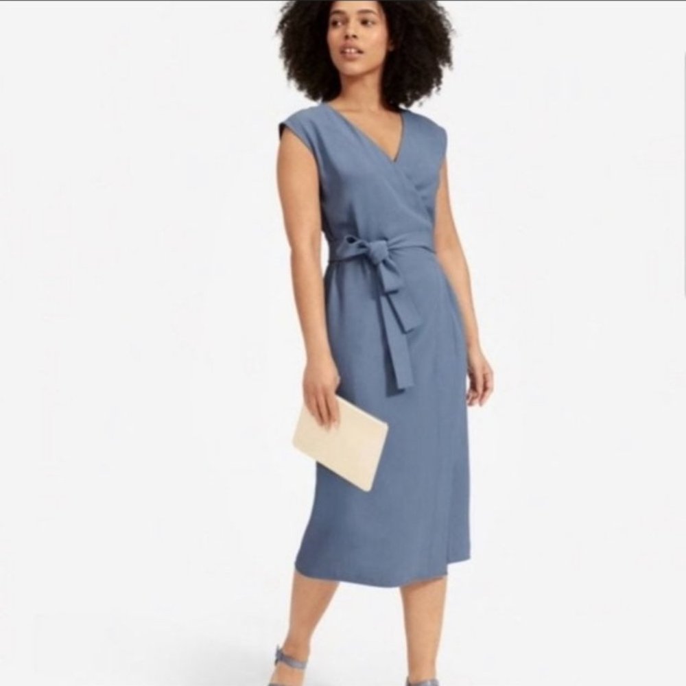 Everlane GoWeave Wrap Dress